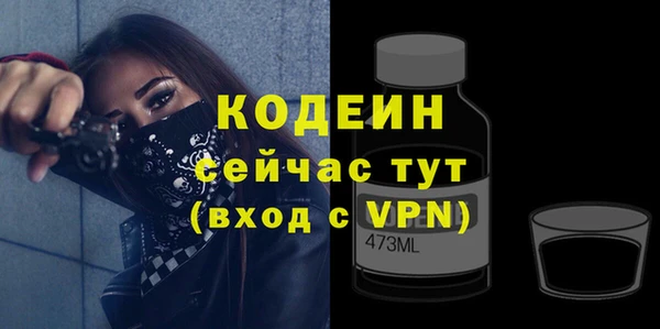 индика Нея