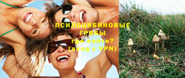 не бодяженный Абаза