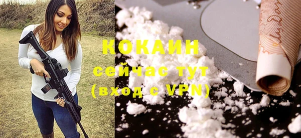 индика Нея