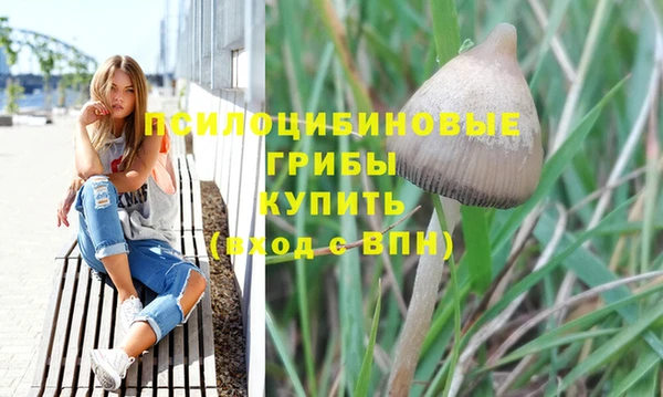 герыч Абинск